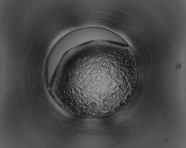 X0000091491142200708301930