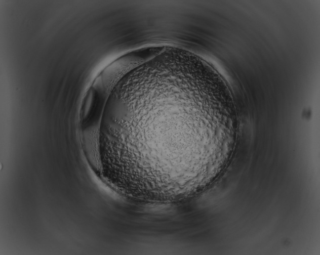 X0000091491143200708301930