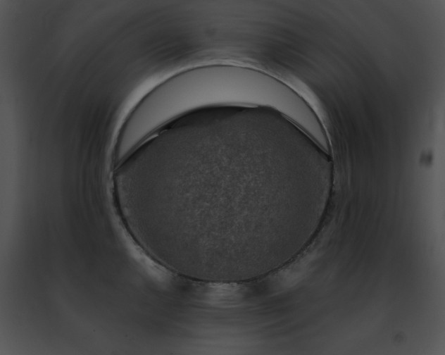 X0000091491144200708301930