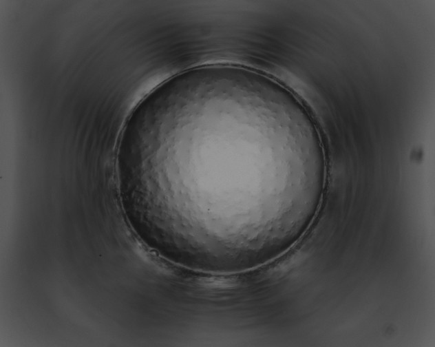 X0000091491145200708301930