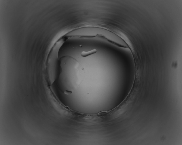 X0000091491146200708301930