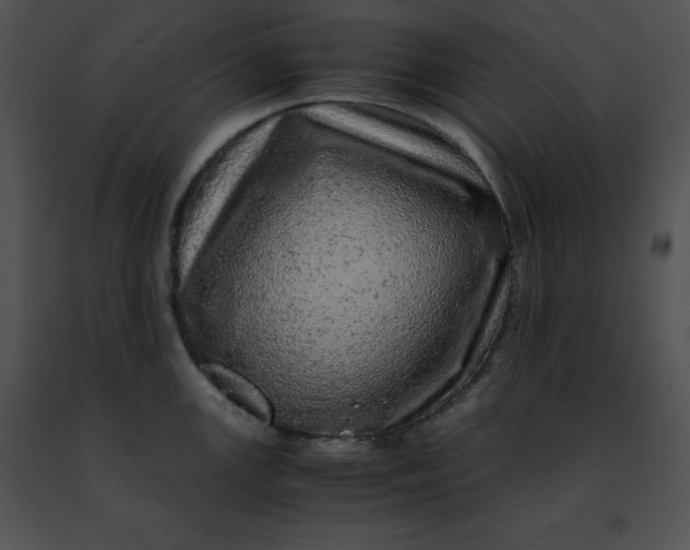 X0000091491147200708301930