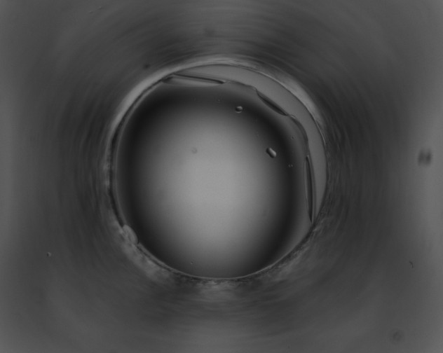 X0000091491148200708301930