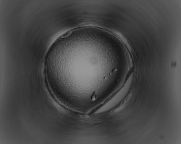 X0000091491149200708301930