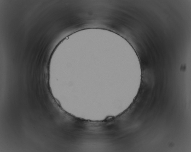 X0000091491150200708301930