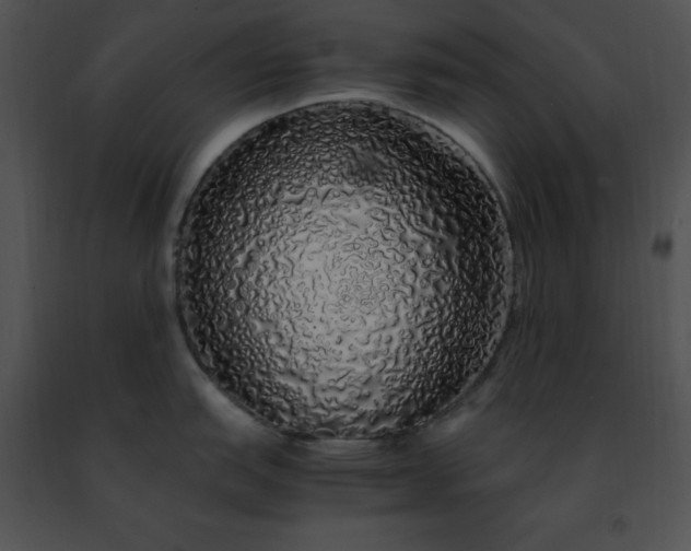 X0000091491151200708301930