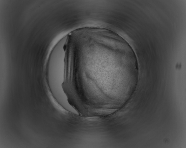 X0000091491152200708301930