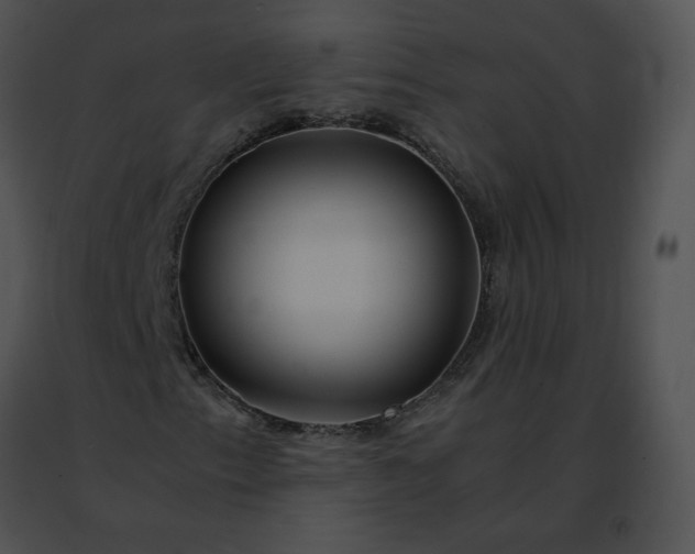 X0000091491153200708301930