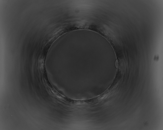 X0000091491154200708301930