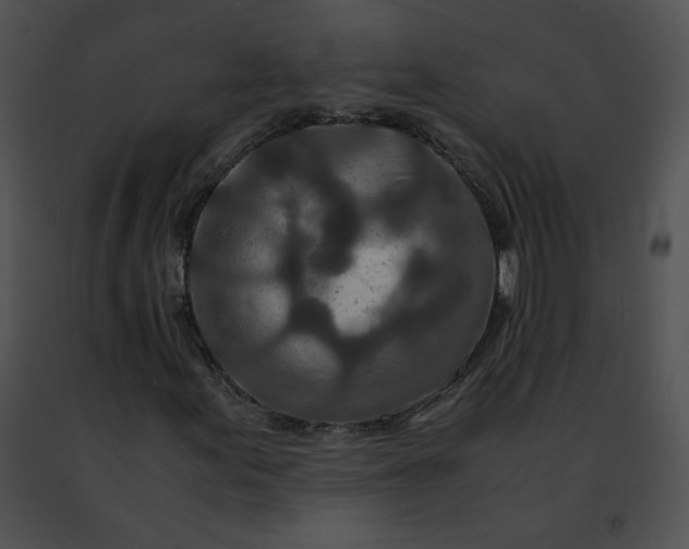 X0000091491155200708301930