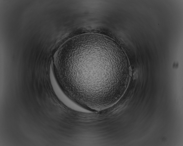 X0000091491156200708301930