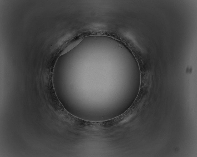 X0000091491157200708301930