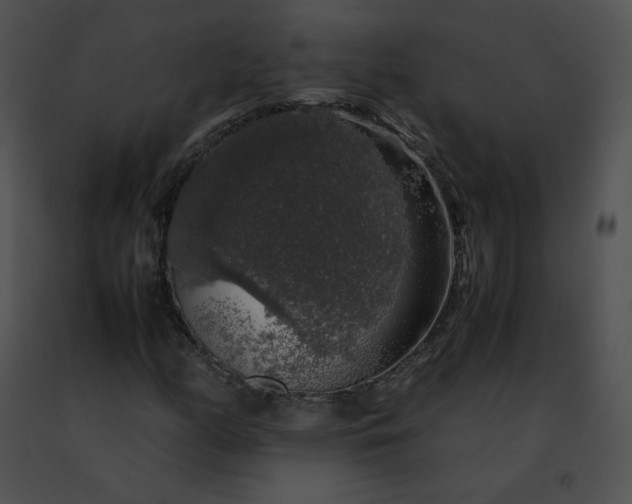 X0000091491158200708301930