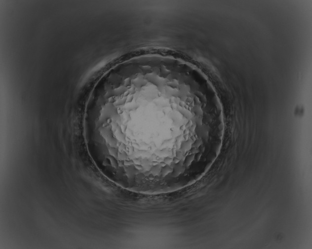 X0000091491159200708301930