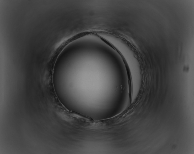 X0000091491160200708301930