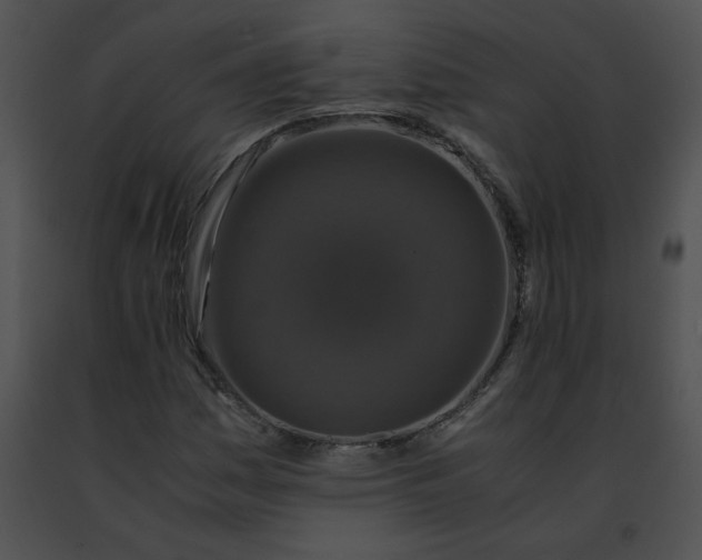 X0000091491161200708301930