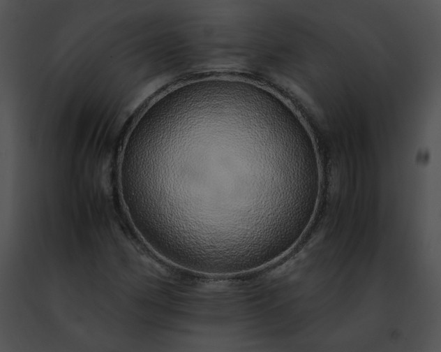 X0000091491162200708301930