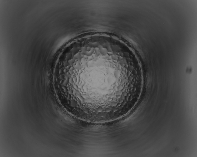 X0000091491163200708301930