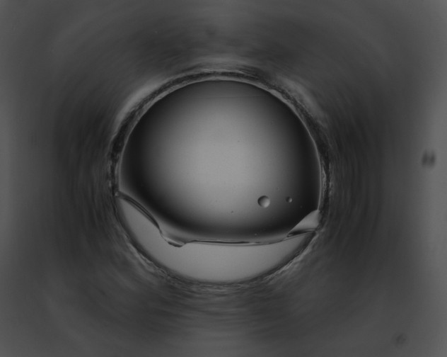 X0000091491164200708301930