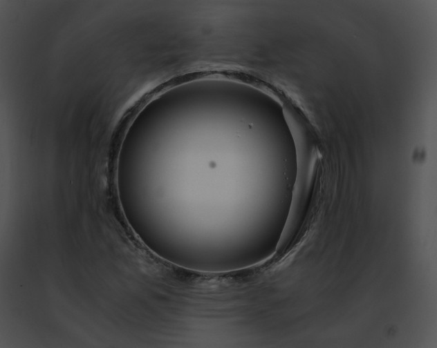 X0000091491165200708301930