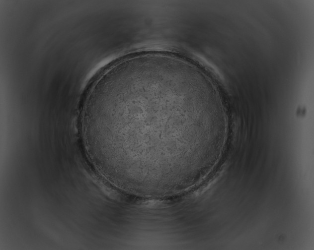 X0000091491166200708301930