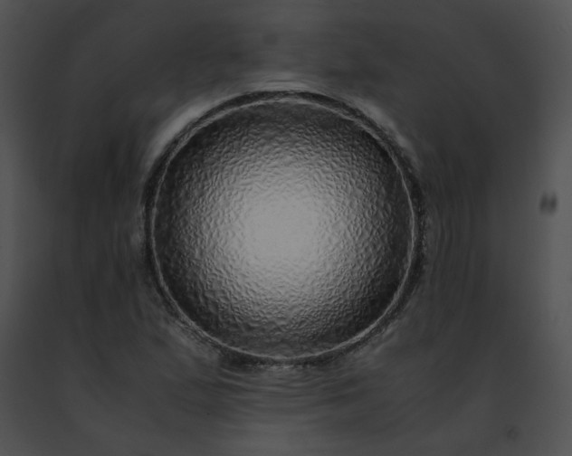 X0000091491167200708301930