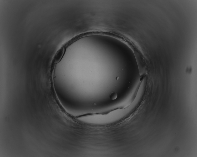 X0000091491168200708301929