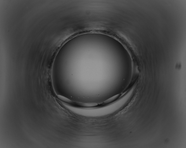 X0000091491169200708301929