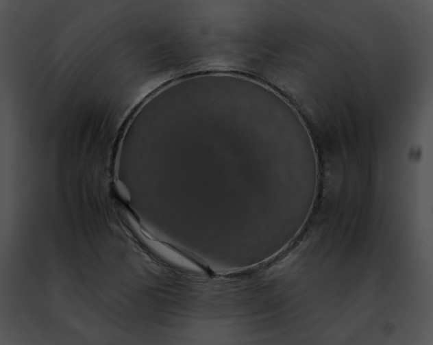 X0000091491170200708301929