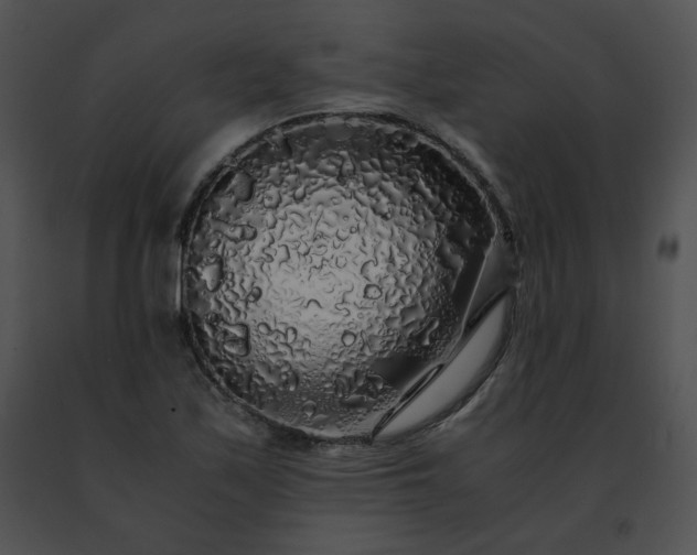 X0000091491171200708301929