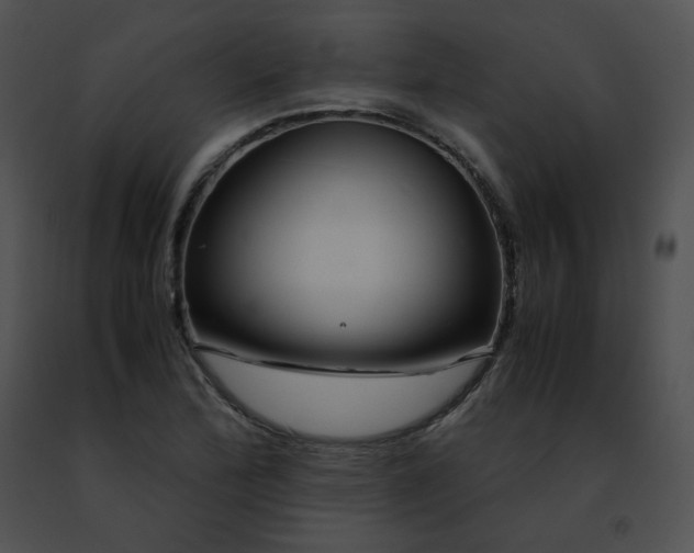 X0000091491172200708301929