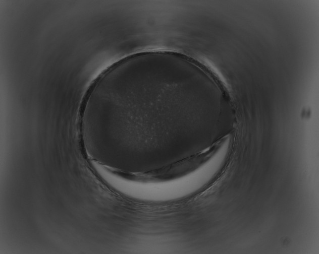 X0000091491173200708301929