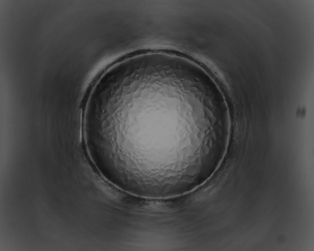 X0000091491175200708301929