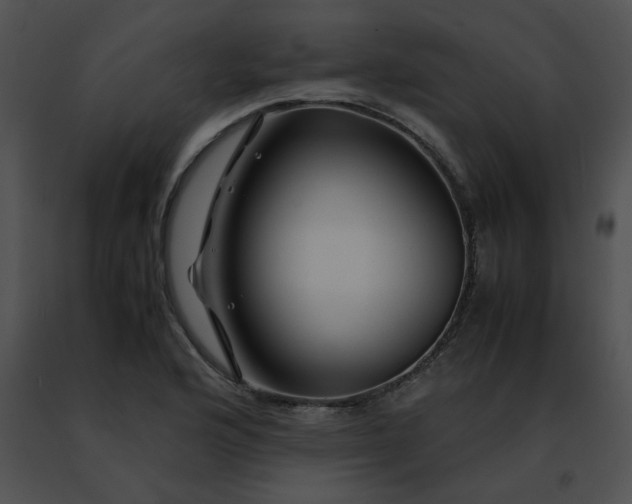 X0000091491176200708301929