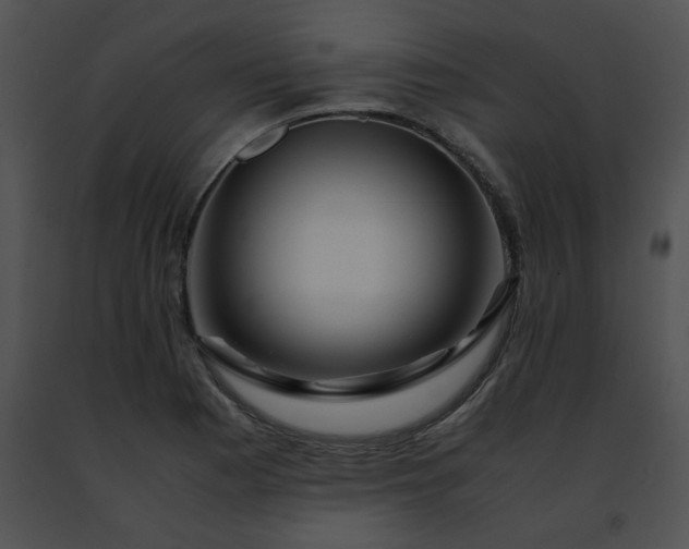 X0000091491177200708301929