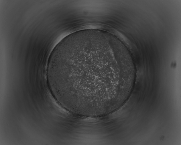 X0000091491178200708301929