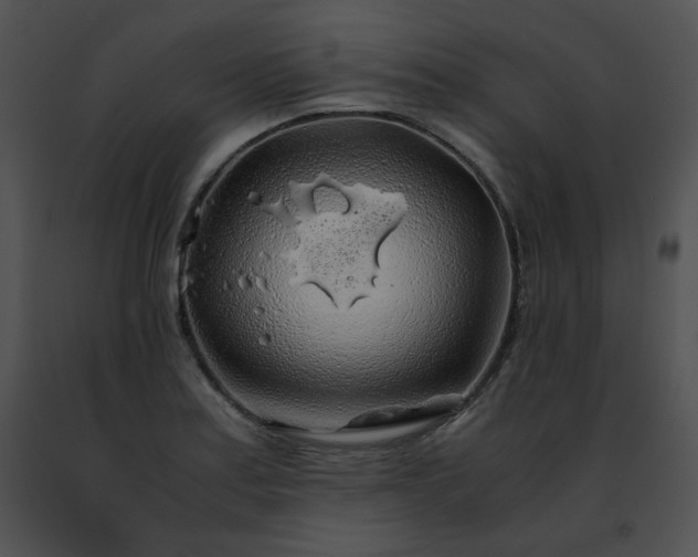 X0000091491179200708301929