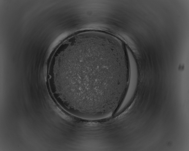 X0000091491180200708301929