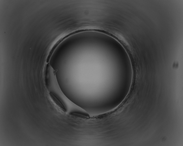 X0000091491181200708301929