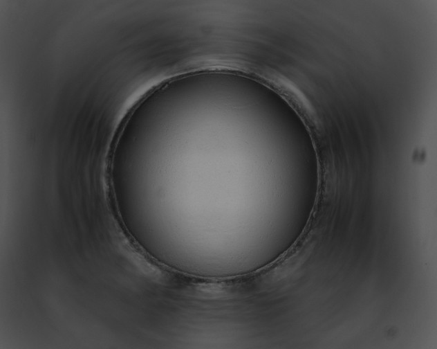 X0000091491182200708301929