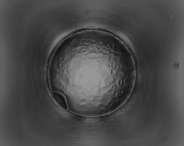 X0000091491183200708301929