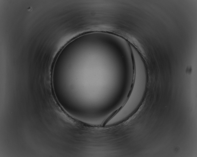 X0000091491184200708301929