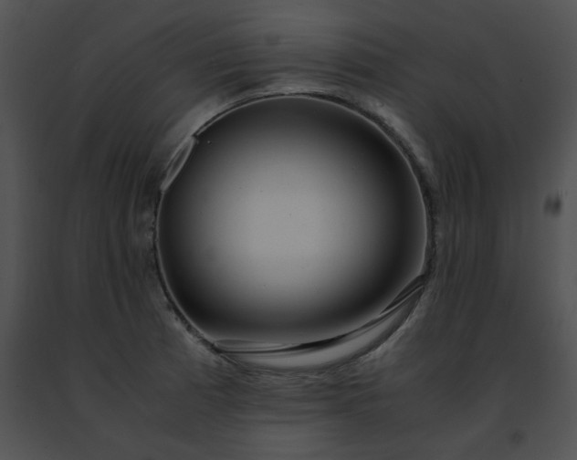 X0000091491185200708301929