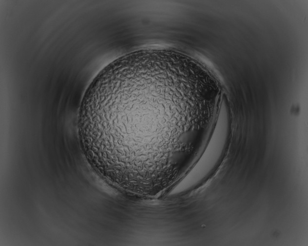 X0000091491186200708301929