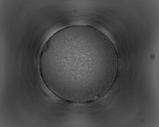 X0000091491187200708301929