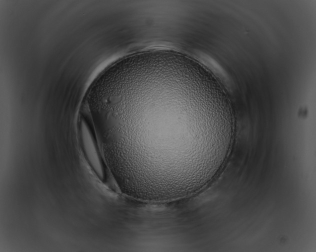 X0000091491190200708301929