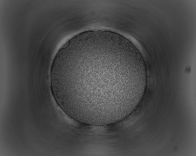 X0000091491191200708301929