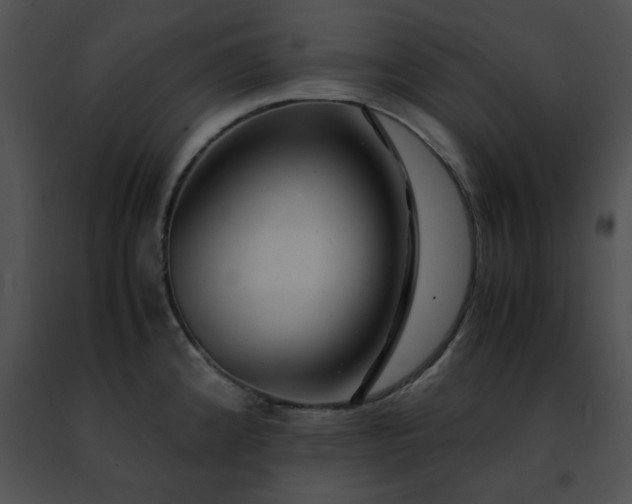 X0000091491192200708301929