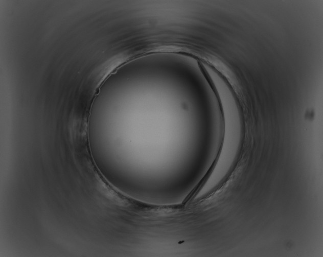 X0000091491193200708301929