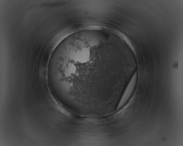 X0000091491194200708301929